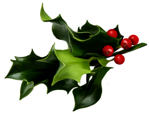 This png image - Mistletoe PNG Art, is available for free download