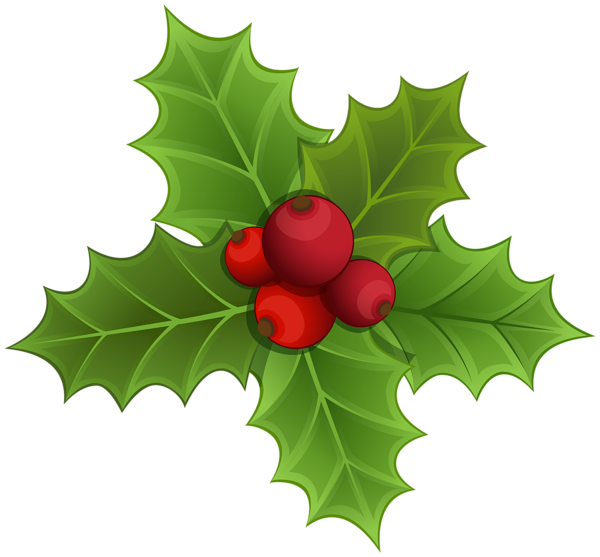 This png image - Mistletoe PNG Clipart Image, is available for free download