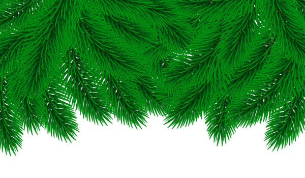 This png image - Pine Border Decor Transparent Clip Art Image, is available for free download