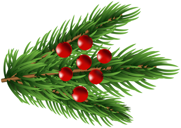 This png image - Pine Branch Christmas Clipart, is available for free download