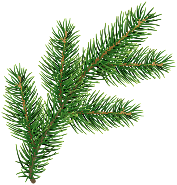 This png image - Pine Branch Clip Art Deco Image, is available for free download