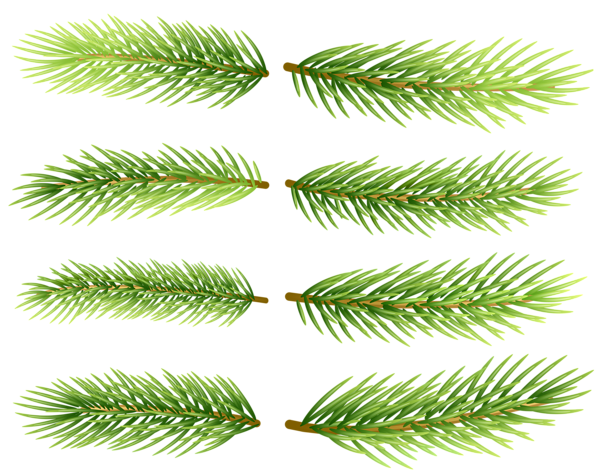 This png image - Pine Branch Set Clip Art Image, is available for free download