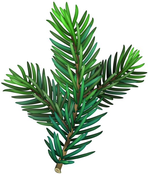 Pine Branch Transparent PNG Image | Gallery Yopriceville - High-Quality