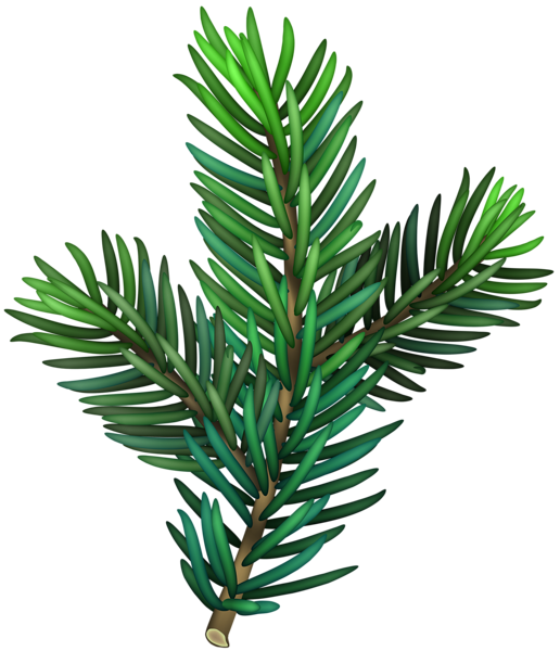 This png image - Pine Branch Transparent PNG Image, is available for free download