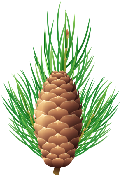 This png image - Pine Branch with Cone PNG Clipart, is available for free download
