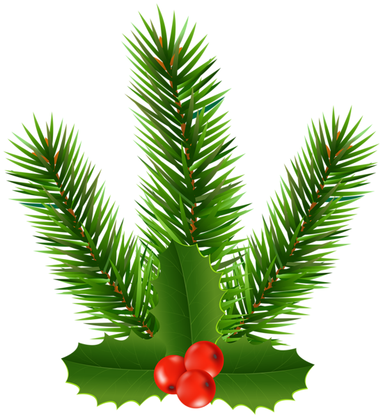 This png image - Pine Branch with Holly Clip Art Image, is available for free download