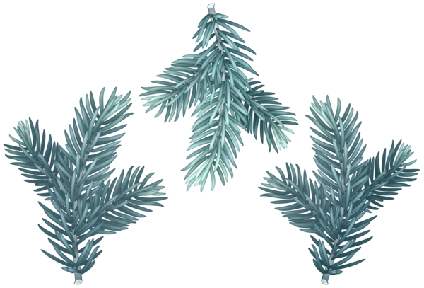 This png image - Pine Branches Blue Set Clip Art Image, is available for free download