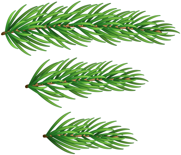This png image - Pine Branches Christmas PNG Clipart, is available for free download