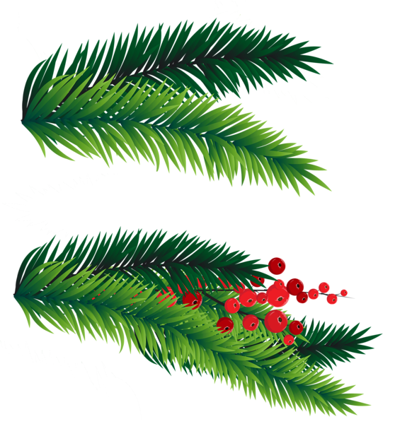 This png image - Pine Branches Decoration PNG Picture, is available for free download