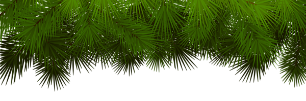 This png image - Pine Branches Decoration Transparent PNG Clip Art, is available for free download
