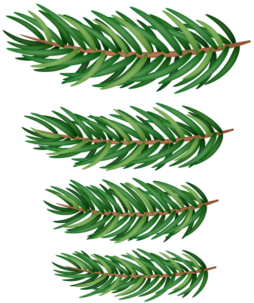 This png image - Pine Branches Green PNG Clipart, is available for free download