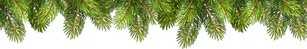 Pine Branches PNG Clip Art | Gallery Yopriceville - High-Quality Images ...