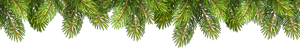 This png image - Pine Branches PNG Clip Art, is available for free download