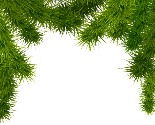 This png image - Pine Branches PNG Clipart Image, is available for free download