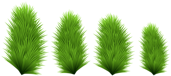 This png image - Pine Branches PNG Transparent Clip Art, is available for free download