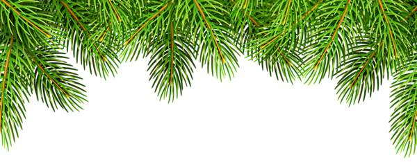 This png image - Pine Branches Top Border Clip Art Image, is available for free download