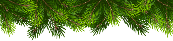 This png image - Pine Branches Top Border PNG Clipart, is available for free download