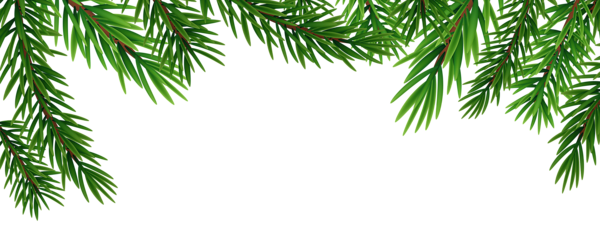 This png image - Pine Branches Top PNG Clipart, is available for free download