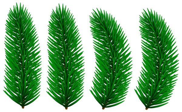 This png image - Pine Branches Transparent Clip Art Image, is available for free download