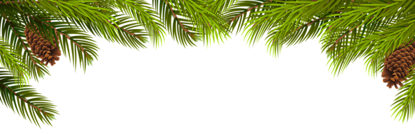 This png image - Pine Branches and Cones Decoration PNG Clip Art, is available for free download
