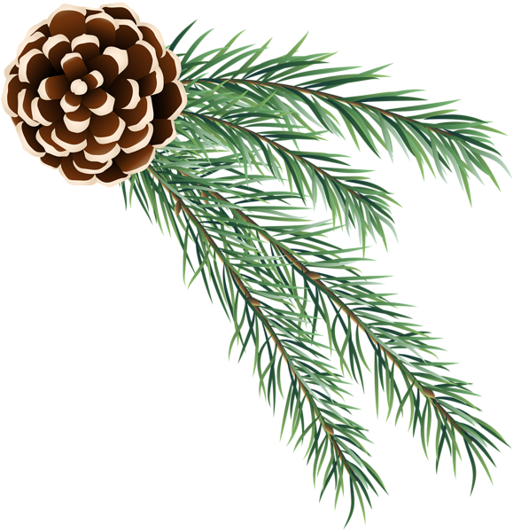 This png image - Pine Cone Decoration PNG Clip Art, is available for free download