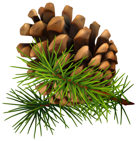 This png image - Pine Cone PNG Clip-Art Image, is available for free download