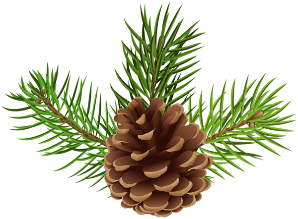 This png image - Pine Cone PNG Clip Art Image, is available for free download