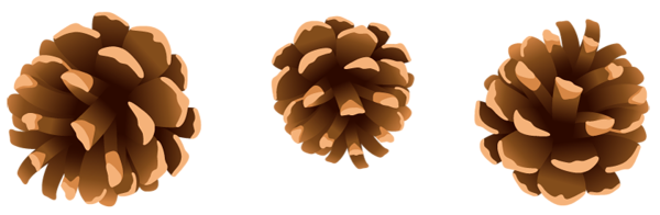 This png image - Pine Cones PNG Clipart, is available for free download
