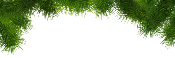 This png image - Pine Deco Branches PNG Clip Art, is available for free download