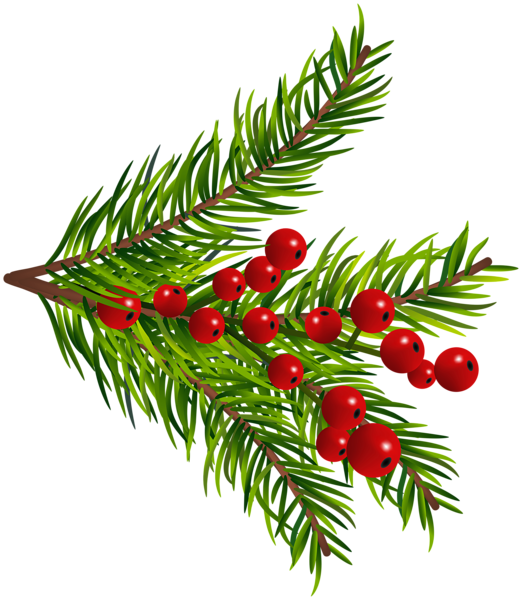This png image - Pine Tree Branches Decor PNG Clipart, is available for free download