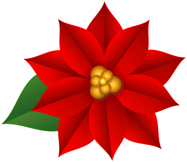 This png image - Poinsettia Christmas PNG Clipart, is available for free download