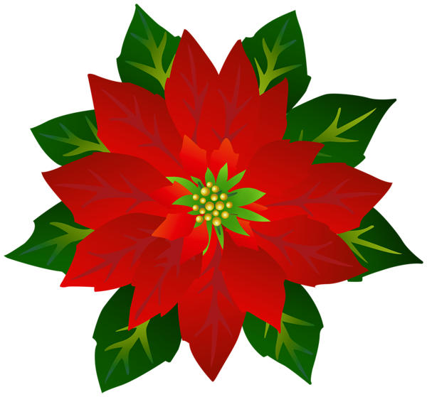 This png image - Poinsettia PNG Clipart, is available for free download