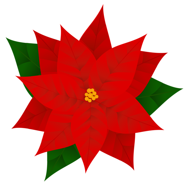 This png image - Poinsettia PNG Clipart Image, is available for free download