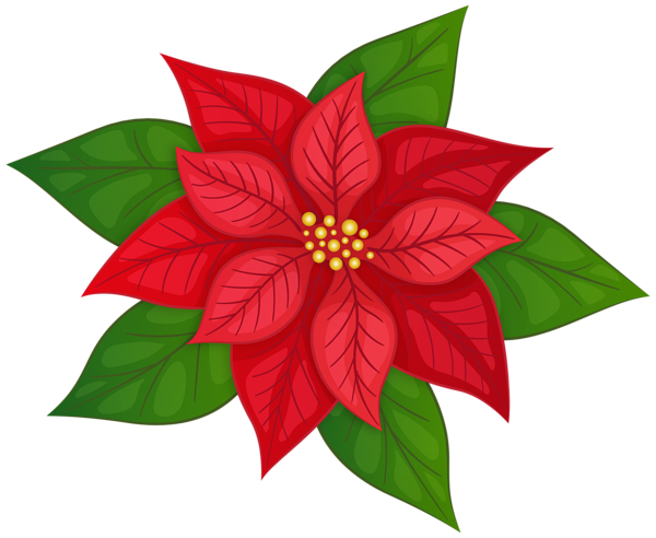 This png image - Poinsettia PNG Transparent Clipart, is available for free download
