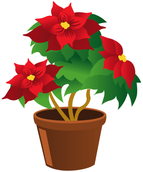 This png image - Poinsettia Pot PNG Clipart, is available for free download