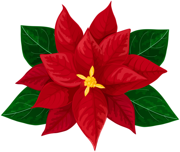This png image - Poinsettia Transparent Clip Art Image, is available for free download