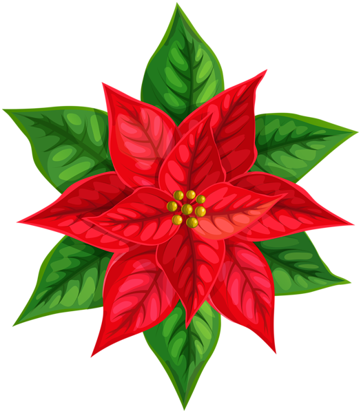 Red Christmas Poinsettia Clip Art Image | Gallery Yopriceville - High ...