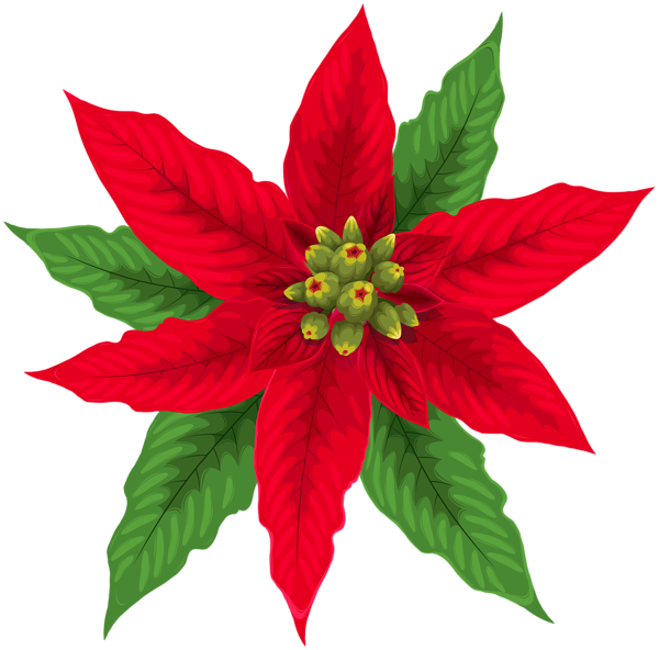 This png image - Red Poinsettia Christmas PNG Clipart, is available for free download