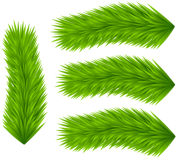 This png image - Set of Pine Branches Clip Art, is available for free download