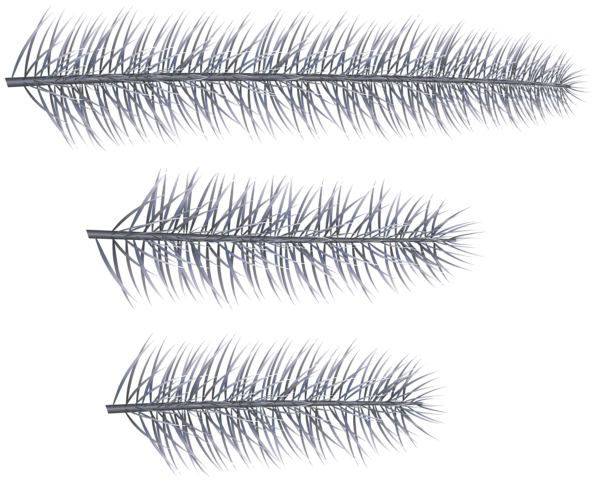 This png image - Silver Pine Branches Clip Art Image, is available for free download