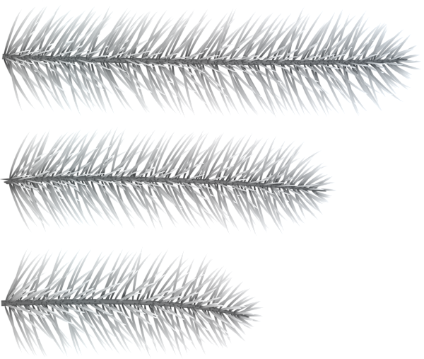 This png image - Silver Pine Branches PNG Clip Art Image, is available for free download