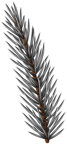 This png image - Silver Pine Tree Branch PNG Clipart, is available for free download