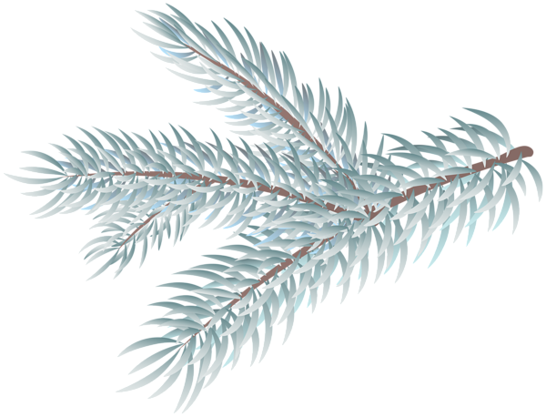 This png image - Snowy Fir Branch PNG Clipart, is available for free download