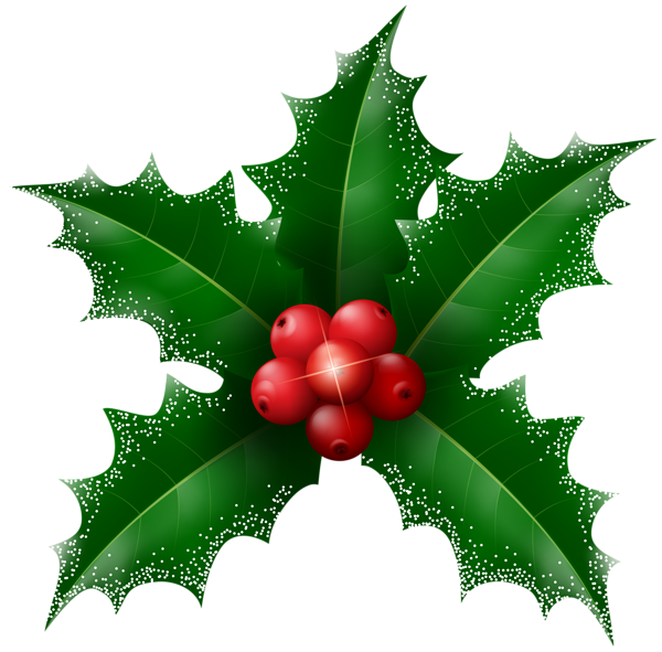 This png image - Snowy Holly Mistletoe Transparent Clip Art, is available for free download