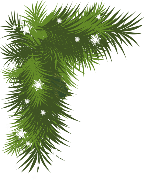 This png image - Snowy Pine Branch PNG Picture, is available for free download