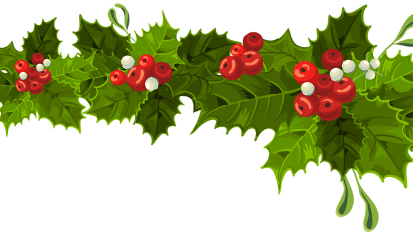 Transparent Christmas Long Mistletoe Decoration PNG Clipart | Gallery ...