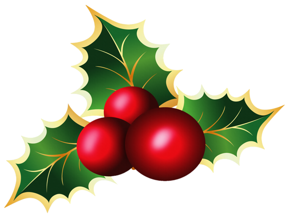 This png image - Transparent Christmas Mistletoe PNG Picture, is available for free download