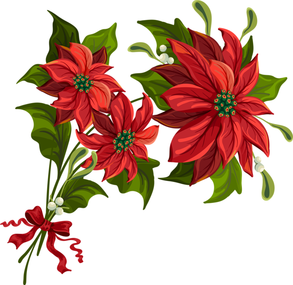 This png image - Transparent Christmas PNG Poinsettia Clipart, is available for free download