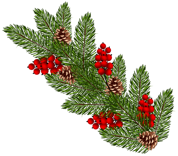 This png image - Transparent Christmas Pine Branch PNG Clip Art, is available for free download