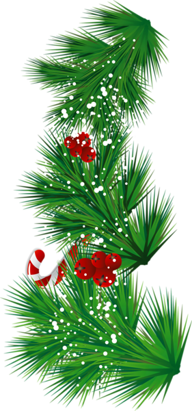 Free Xmas Clipart Of Mistletoe Transparent Pine Branch with Candy Cane and Mistletoe PNG ...